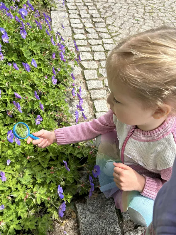Zdjęcie z albumu Zajęcia projektowe