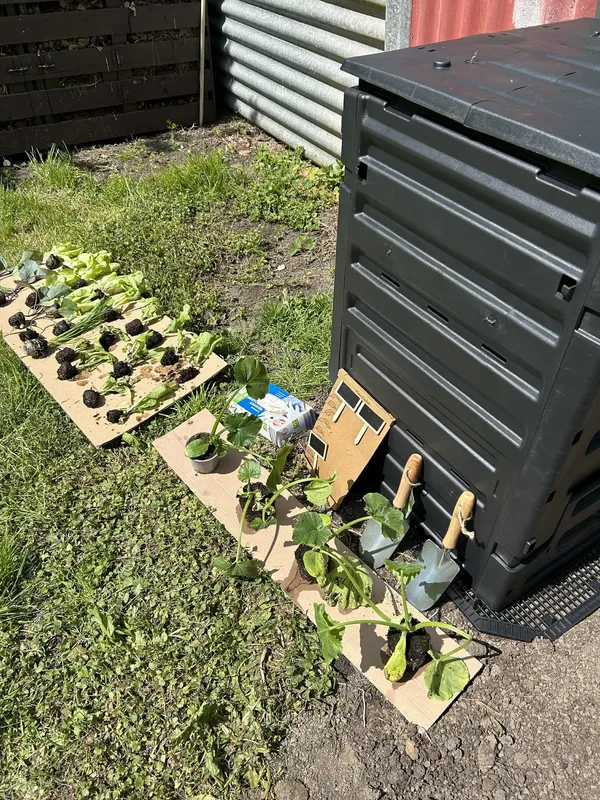 Zdjęcie z albumu Zajęcia projektowe