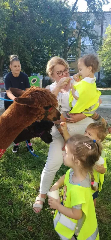 Zdjęcie z albumu Spotkanie z alpakami