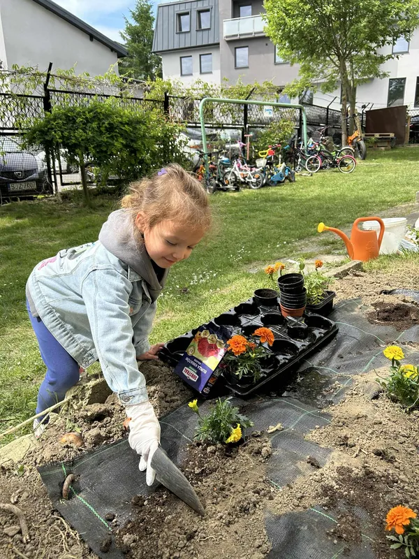 Zdjęcie z albumu Zajęcia projektowe
